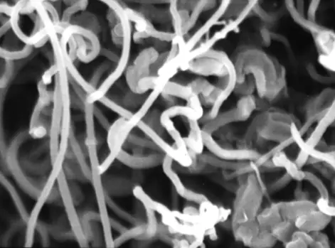Kohlenstoffnanor&ouml;hren (CNT) bei hohen Vergr&ouml;&szlig;erungen - Osmium-Beschichtung