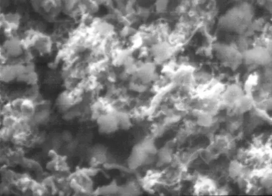 Kohlenstoffnanor&ouml;hren (CNT) bei hohen Vergr&ouml;&szlig;erungen - unbeschichtet; 20.000x