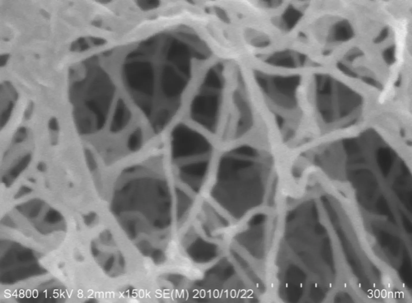 Cellulose Nanofasern (feine, netzartige Strukturen) - Osmium-Beschichtung; 150.000x