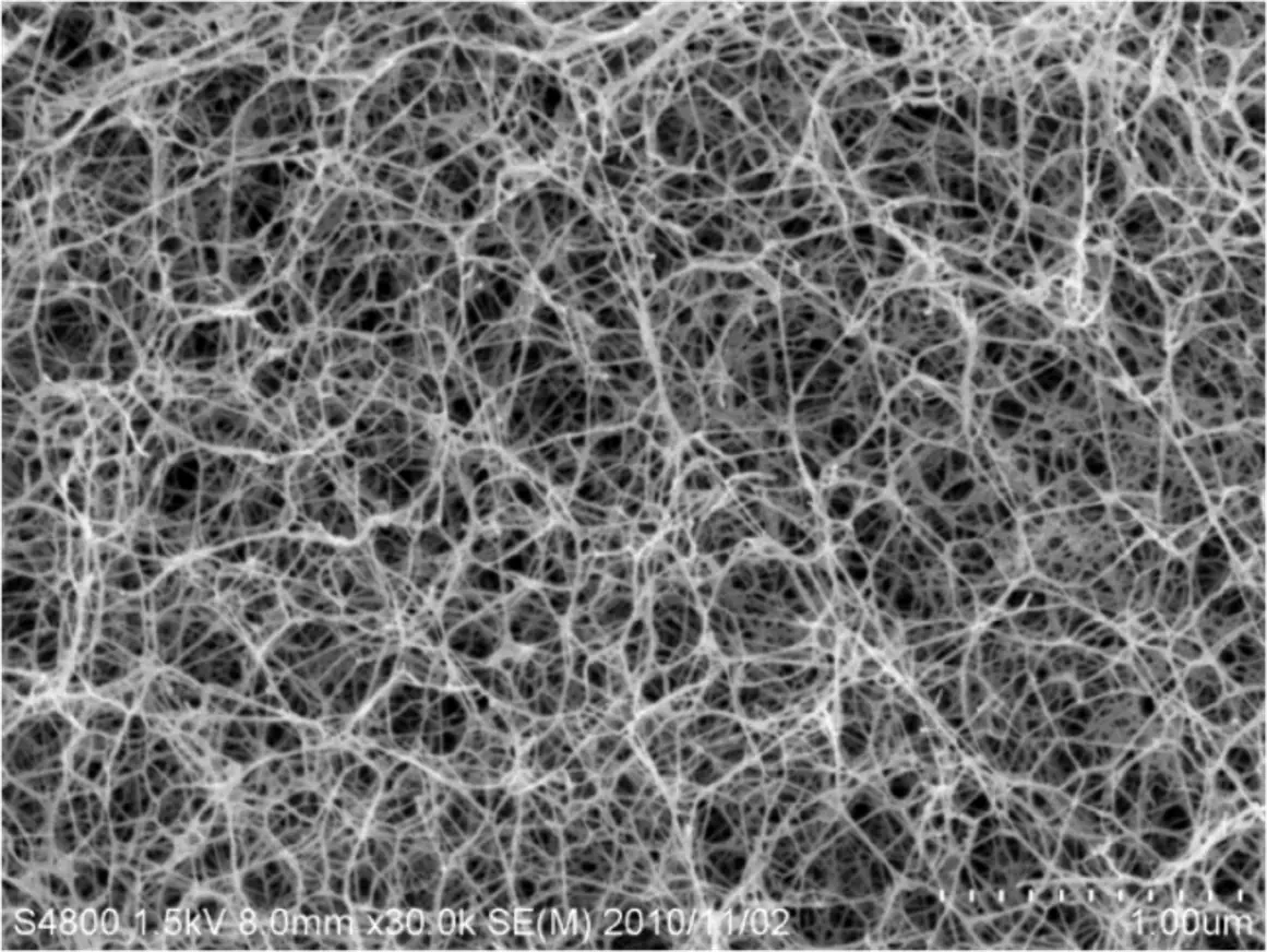 Cellulose Nanofasern (feine, netzartige Strukturen) - Osmium-Beschichtung; 30.000x