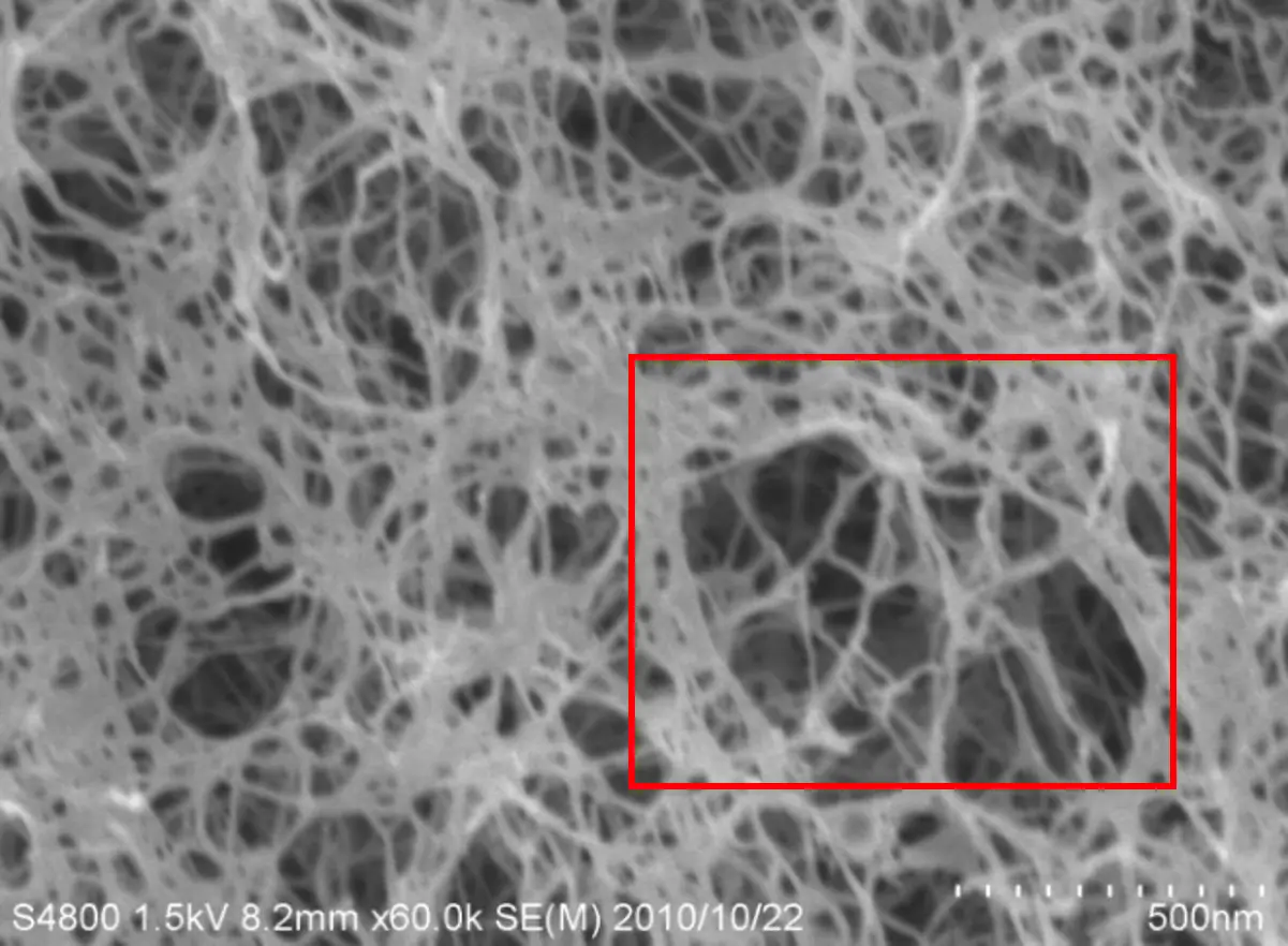Cellulose Nanofasern (feine, netzartige Strukturen) - Osmium-Beschichtung; 60.000x