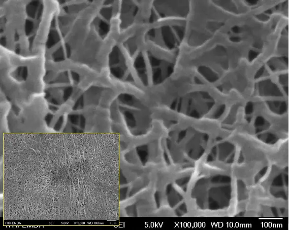 Polymer Film - Osmium Beschichtung 