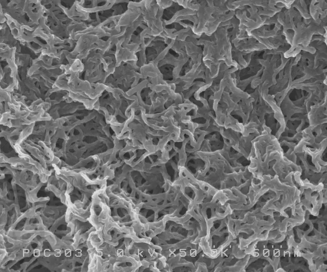 Sepharose (Quervernetze Agarose Beads mit por&ouml;ser Oberfl&auml;che) - Osmium-Beschichtung; 50.000