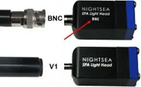 BNC Stecker - V1 Stecker