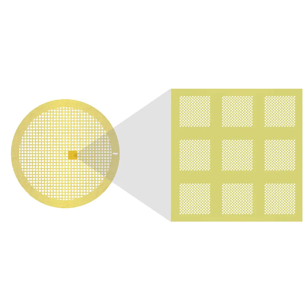 Au-flat, 1.2 µm Lochgröße, 1.3 µm Lochabstand, 300 Mesh, Au/Pd