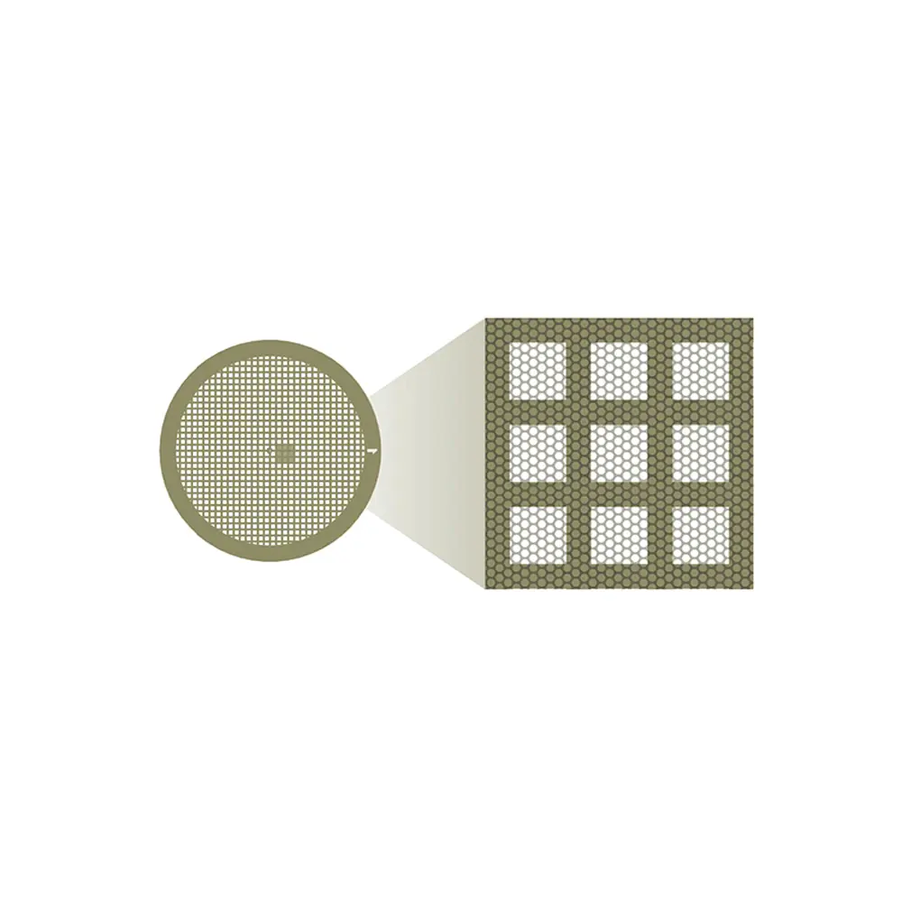 CD-flat™, Holey Carbon (8.0 µm Hole Size, 2.0µm Spacing), Large Specimen, 300 Mesh, 50 pieces