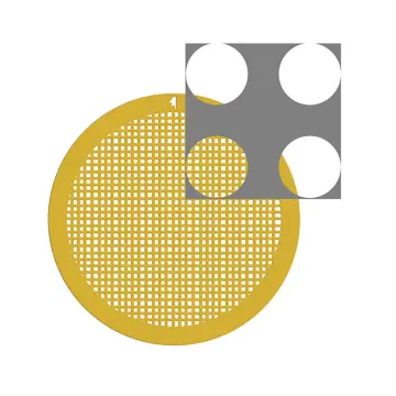C-flat™ 300 Mesh, 4,0µm Lochgröße, 2,0µm Lochabstand, Au