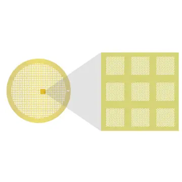 Au-flat, 2 µm Lochgröße, 2 µm Lochabstand, 200 Mesh, Au/Pd, 50 Stück