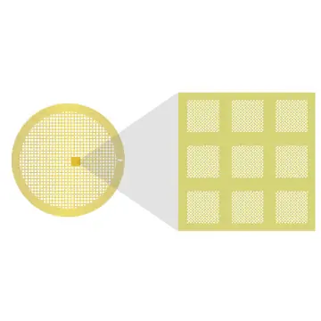 Au-flat™ 2,0µm Lochgröße, 2,0µm Lochabstand, 200 Mesh, Au