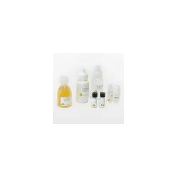 Ultra Small Starter Kit (Immunogold)