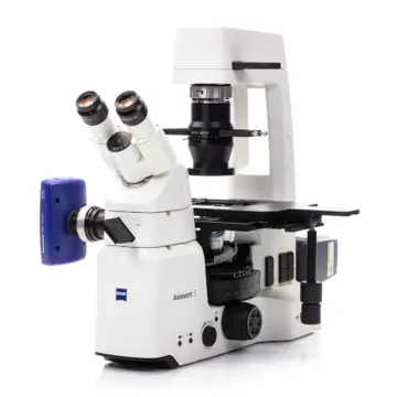 ZEISS Axiovert 5 - smart inverted LED fluorescence microscope 
