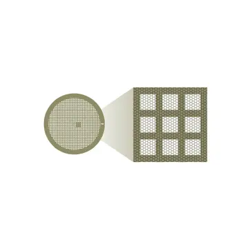 CD-flat™, Holey Carbon (8.0 µm Hole Size, 2.0µm Spacing), Large Specimen, 300 Mesh, 50 pieces
