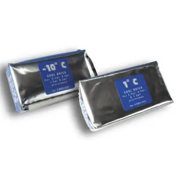 CoolSafe Cool Bricks