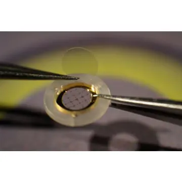 CryoCapsule®