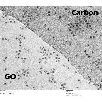 Ferritin-Komplexe auf GO Monolage als Anwendungsbespiel. Ferritin in wässriger Lösung wurde mit einem Tropfen auf ein GO-Grid gegeben und angetrocknet (mit freundlicher Genehmigung von Dr. J. Skepper, University of Cambridge).