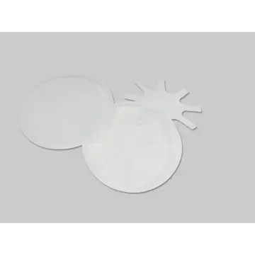 Single Wafer Container for 100mm (4“) Wafer