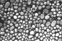 Gold on Carbon Test Standard, high resolution