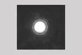 Beugungsstandard, aufgedampftes Thalliumchlorid auf TEM Grid, 1 Stück