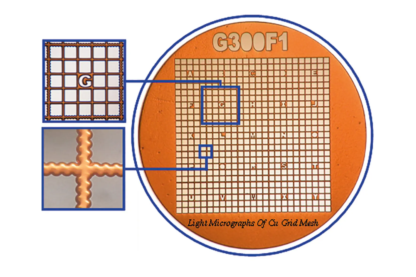 TEM Grids, Finder, 100 Mesh, square, Cu, 100 pieces
