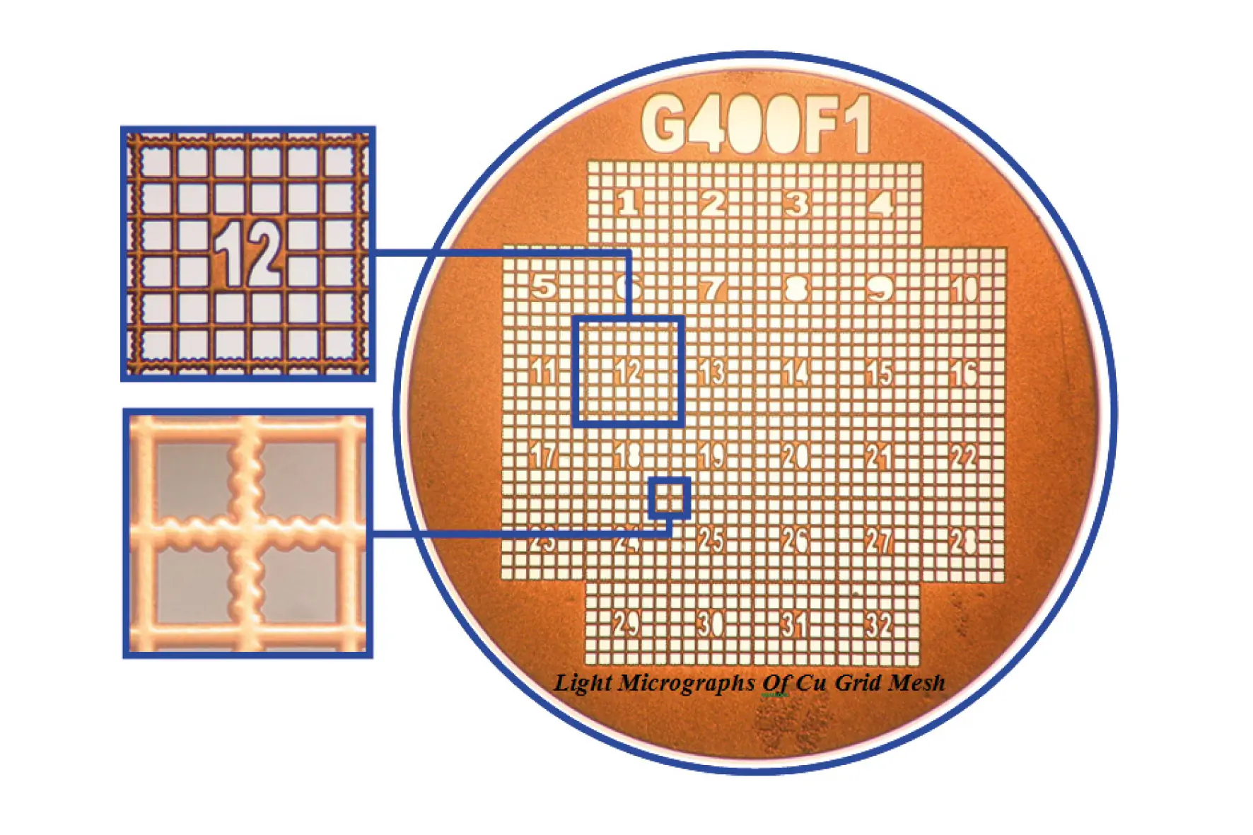 TEM Grids, Finder, 400 Mesh, square, Au, 50 pieces
