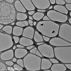 TEM Grids, Graphene Oxide on Lacey Carbon, 300 Mesh, various Layers, Cu
