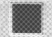 TEM Grids, Quantifoil, Hole Shape R3.5/1, 200/300 Mesh, Cu