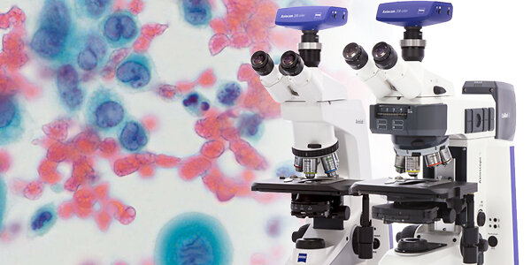 brightfield_cytological-smear_axio-imager_Kollage_600x300