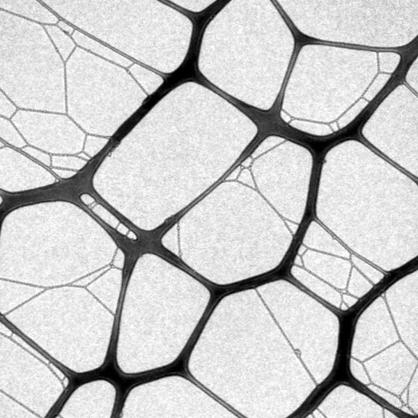 Coating_Grids_600x600