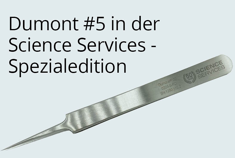 Kacheln_Startseite_Julil-2026_591x396_