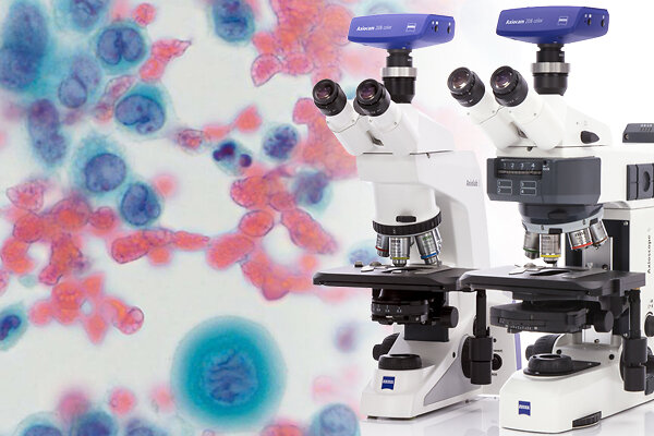 brightfield_cytological-smear_axio-imager_Kollage_600x400