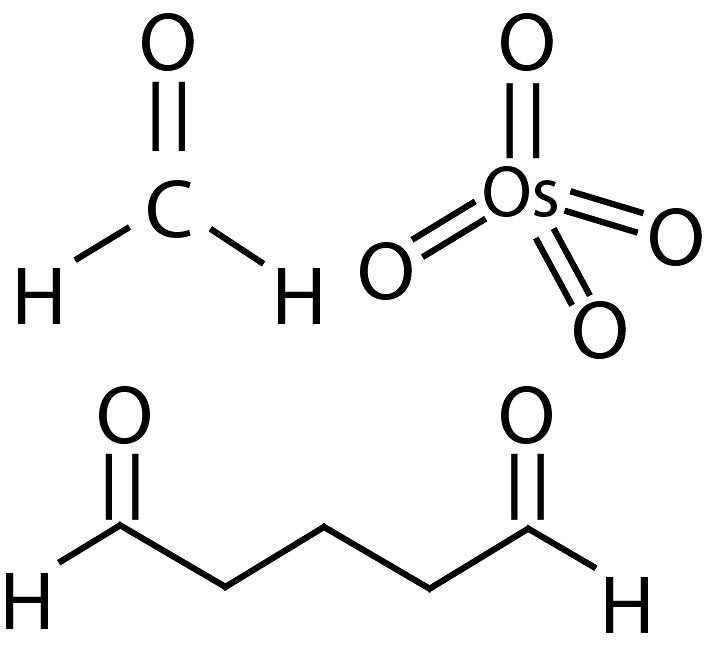 Druck
