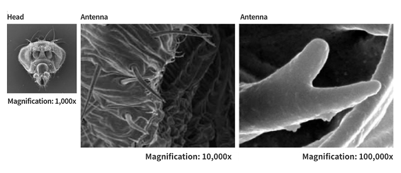 8_800x345