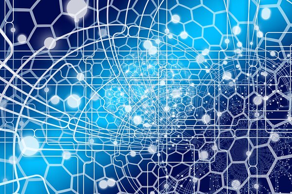 web-4861612