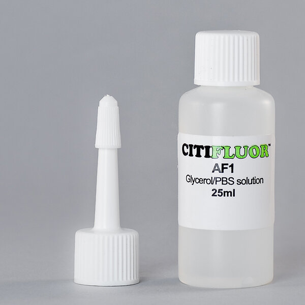 Eindeckmedien_Citifluor_2600x600