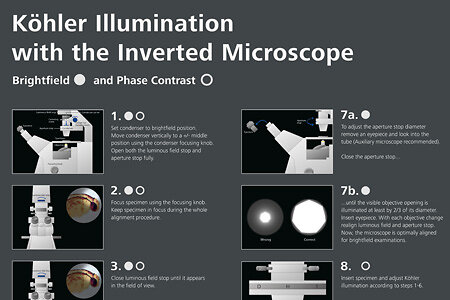 EN_41_050_005_Poster_Koehler-illumination-inverted.indd