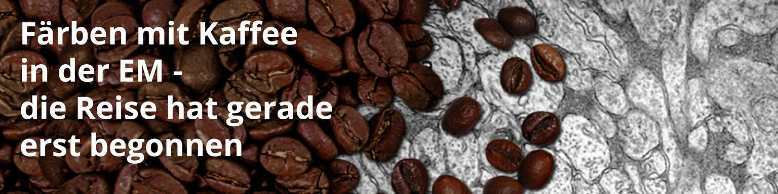 Bild_Kollage_Kaffee_Text_1200x300