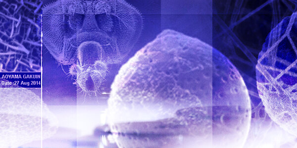 Tennant20_Teaser_Beschichtungsservice_600x300