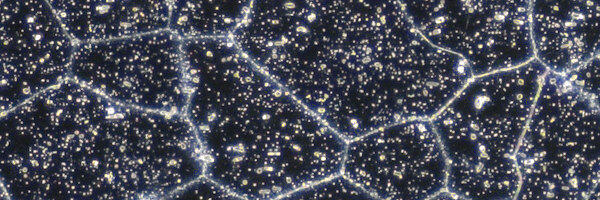 MET94_-_Aluminium_Alloy_Grains_Darkfield__600x200