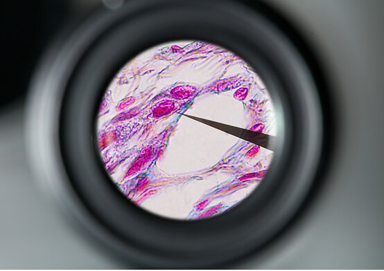 EN_wp_Ergonomic-Solutions-Clinical-Microscopy-1-6_Okular_Innen