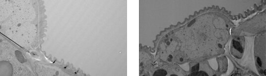 Fokus_auf_Antivibrationssysteme_Systeme_Vergleichsbilder_1