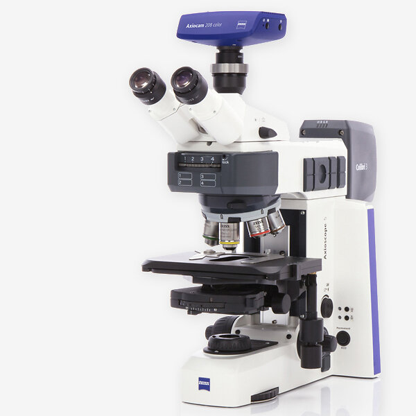 Mikroskope_Fluoreszenzmikroskope_Axioscope-5-FL_Axiocam-208-color_2_600x600