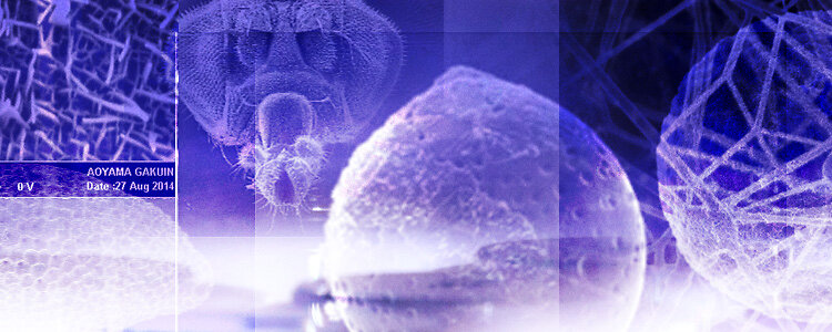 Tennant20_Teaser_Beschichtungsservice_750x300